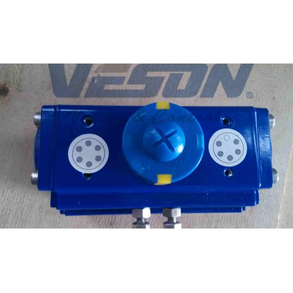 Rotary Machine Stainless Steel Pneumatic Actuator Hard Anodizing Surface Treatment