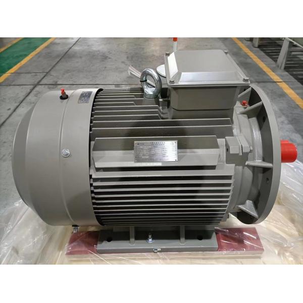 Rare Earth NdFeB Synchronous Permanent Magnet Motor Three Phase