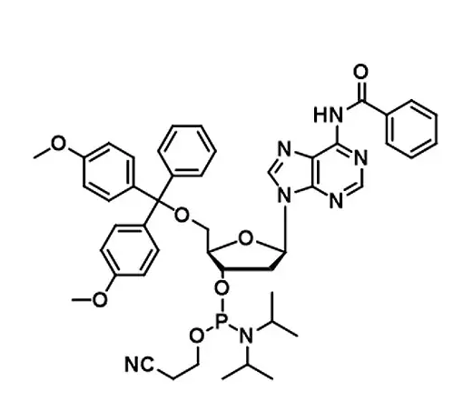 DNA RNA Amidite Oligonucleotide Synthesis Raw Materials For DNA RNA Oligo Synthesis Process