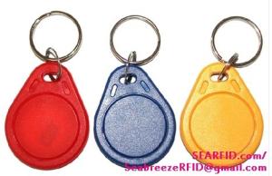 China EM4102 Chip RFID Access Control Keychain, 125KHz Fobs, ID & IC Identification Key ring, RFID Entrance Guard Key chain on sale