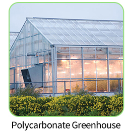 Single Layer Rain Shelter Greenhouse with Small Spire Top or Round Top for Grape and Cherry Cultivation