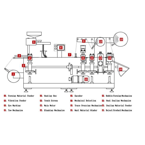 Double Alu Foil Blister Pack Sealing Machine Pharmaceutical Packaging Equipment