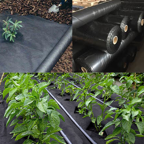 Anti UV Greenhouse 90G Black Weed Barrier