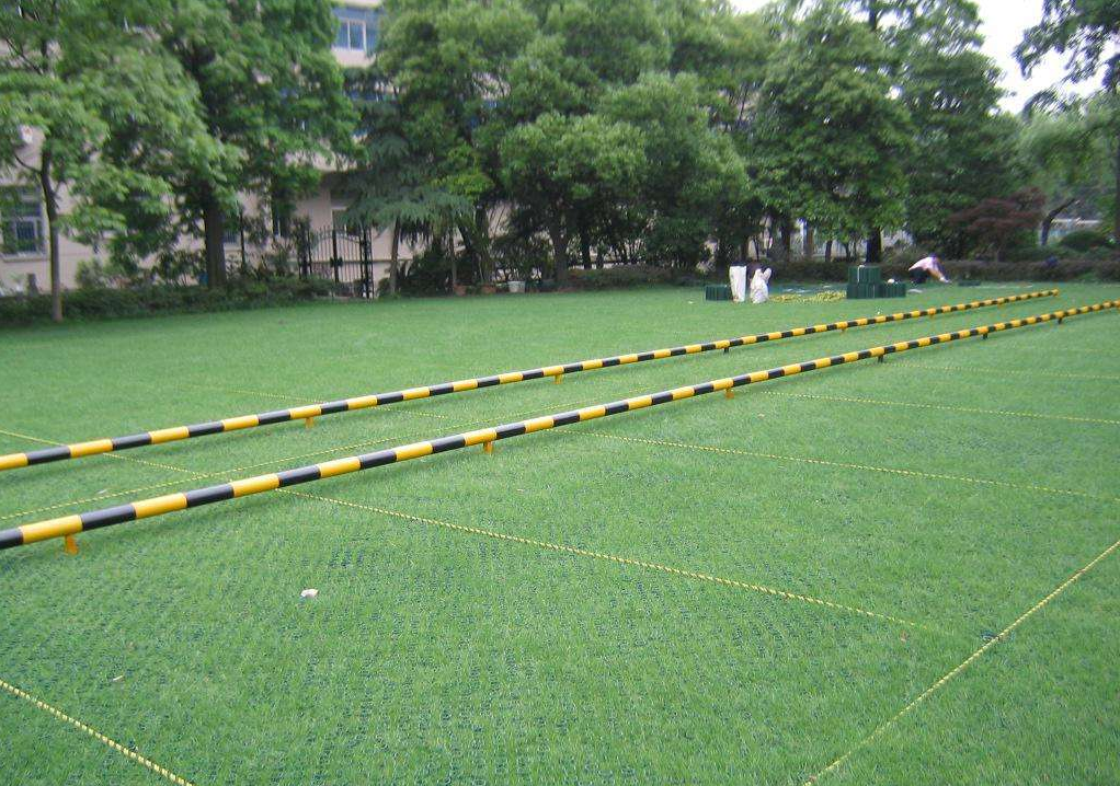 HDPE Plastic Planting Grass Paver Grid for Parking Lot and Driveway at 500mm Length