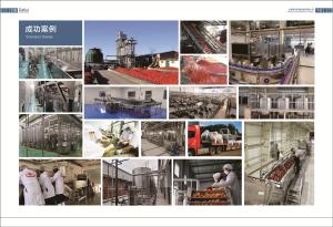 China SS304 Complete Tomato Processing Line 1500T/D Easy Operation wholesale
