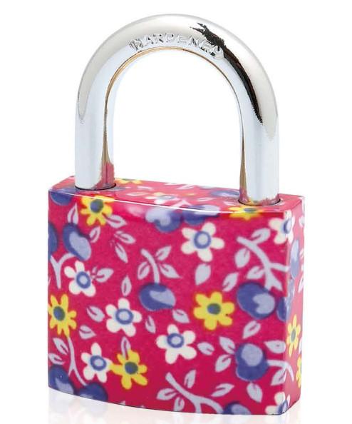 Quality Painted Plating Padlock High Security Padlock Pin Tumbler Structure All Sizes for sale