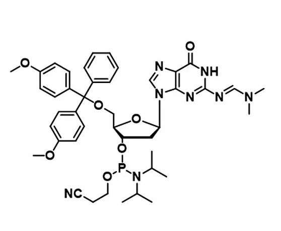 DNA RNA Amidite Oligonucleotide Synthesis Raw Materials For DNA RNA Oligo Synthesis Process