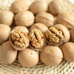 Walnut Xin 2