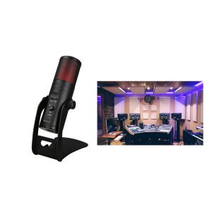 China ROHS USB 2.0 Facebook Youtube Video Recording Microphone With 98db SNR wholesale