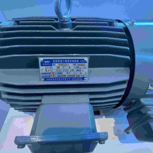 China Variable Speed Permanent Synchronous Magnet Motor With NEMA Premium wholesale