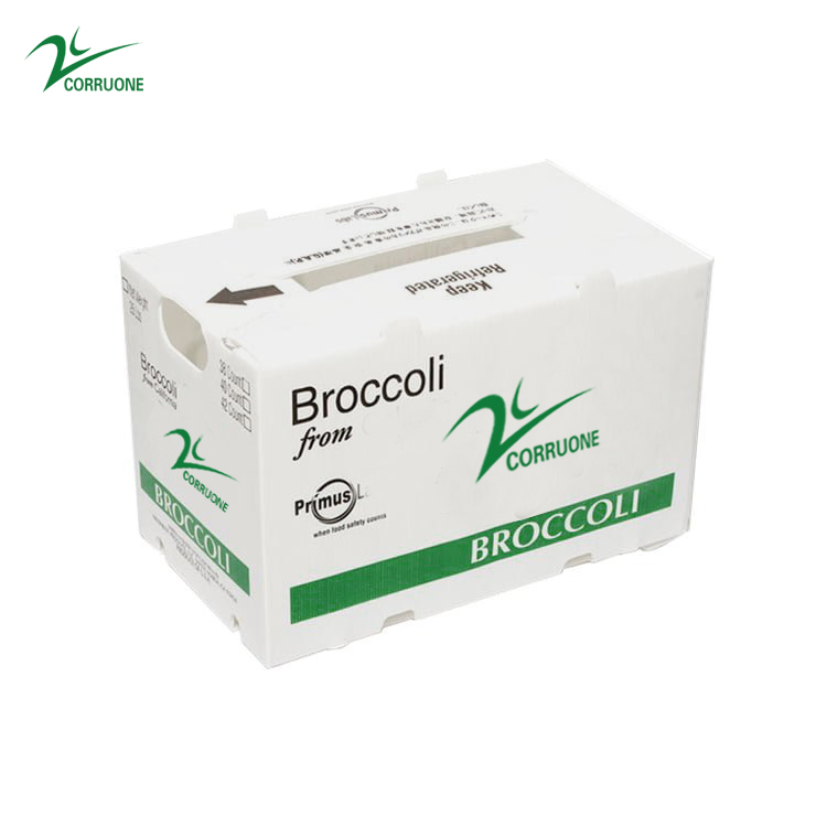 Asparagus Corrugated Plastic Produce Boxes Food Grade Black White
