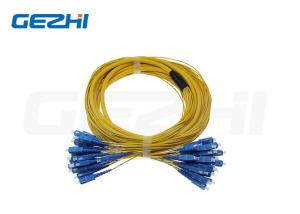 China 12 core Singlemode Indoor Fiber Optic Patch Cord with SC connector wholesale