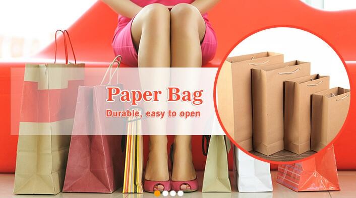Customized Cut Printed Coated Paper Shopping Bag with Matt Lamination,rope handle custom logo printed white paper bag