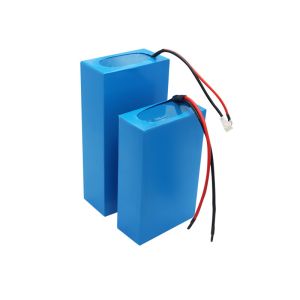 China Durable 2 Wheeler Lithium Battery Pack For Electric Mopeds wholesale