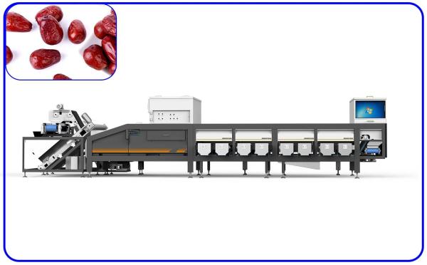 Quality 380V 8.5KW Dates Sorting Machine 16 Lanes AI Optical Grading Machine for sale