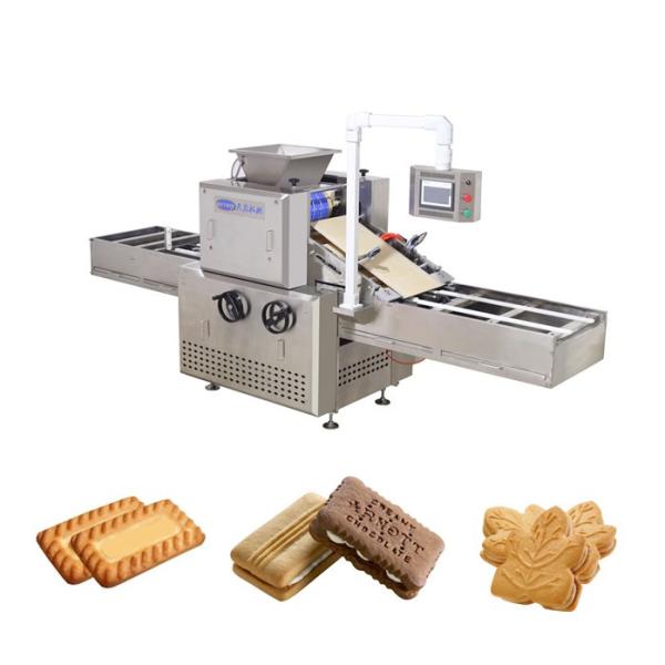 400 Automatic Rotary Moulder Biscuit Machine Soft Biscuit Making Machine