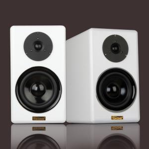 China 40W Passive Bluetooth Two Way Speaker Wireless Multipurpose wholesale