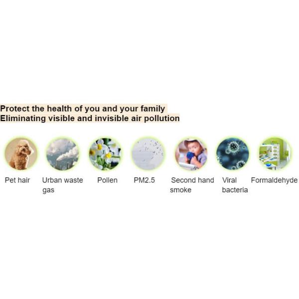 Removal PM2.5 Dust Odor 380m3/h 100m2 Wall Mounted ERV