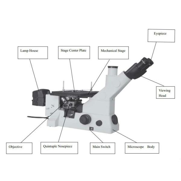 Portable Metallurgical Stereo Zoom Microscope LWD Optional DIC WF10X / 22