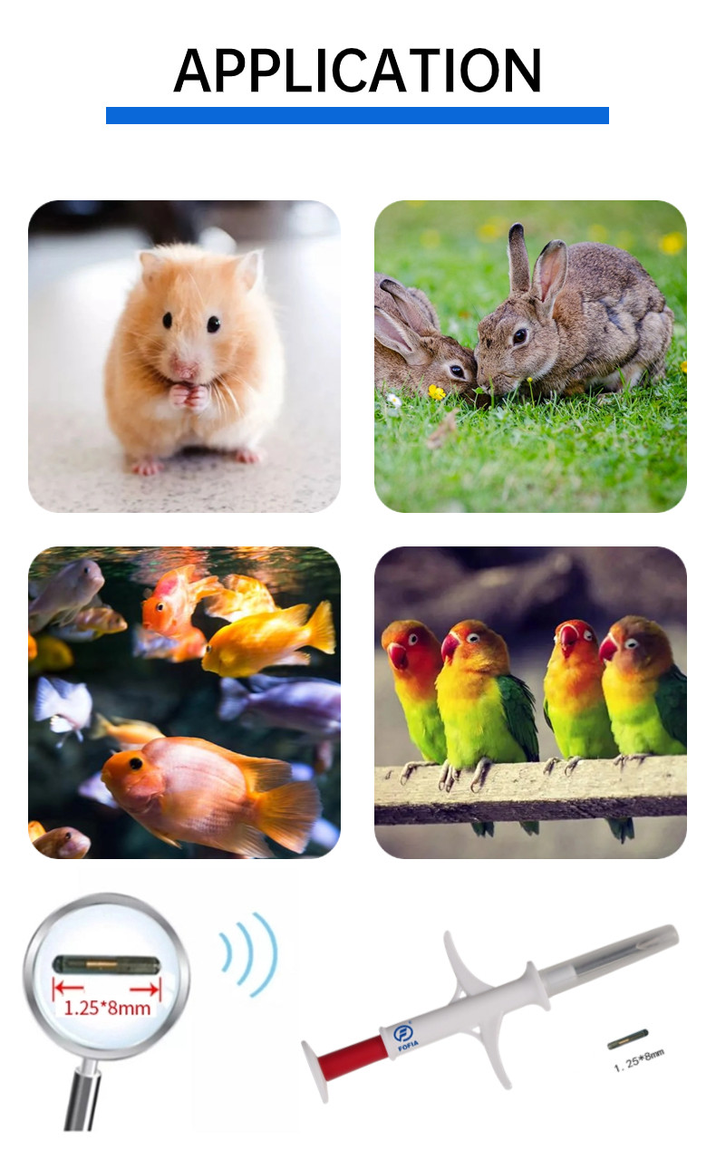 ISO Transponder Microchip The Perfect Solution In Search Of And Efficiency Reliable Dogs Id Chip