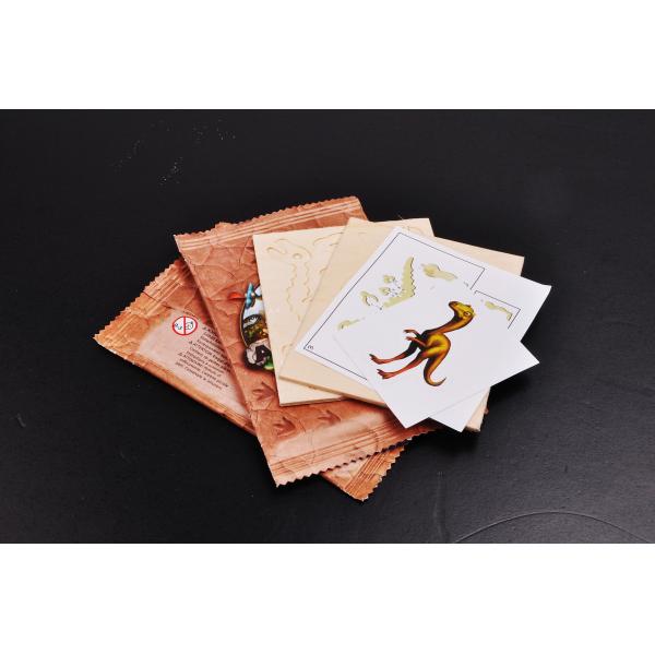 Servo Motor Driven Friction Feeder Machine For Post Card