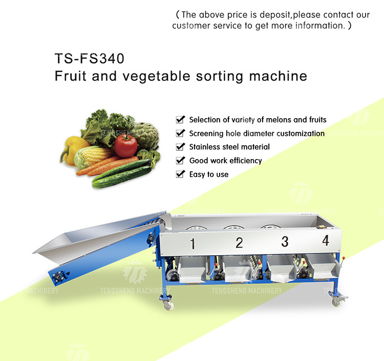 280KG Lemon screening and grading machine special stainless steel roller fruit sorting machine fruit sorting machine