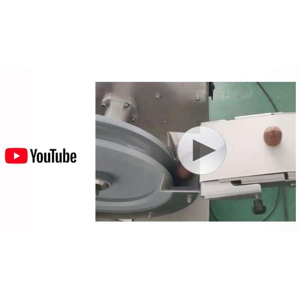SUS Date Ball Machine Fully Automatic Encrusting Machine 220V