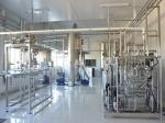 Fruit Vegetable Mango Pulp Processing Plant 2-5T/H SUS304