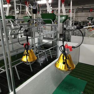 OEM ODM 304 Stainless Steel Farrowing Crates Swine Gestation Crates