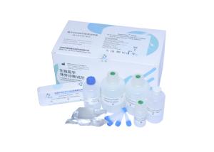 China BRED-002 Sperm DNA Fragmentation Test Kit SCD Method With Excellent Staining For Sperm wholesale