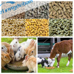 Customized Feed Pellet Mill Machine 300-400 KG/H For Poultry Animal Feed Food