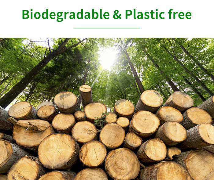 60gsm Biodegradable Food Packaging Materials Compostable For Bakery