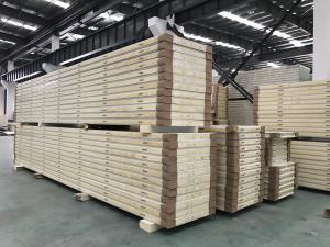 PU Camlock 200mm Thick Blast Freezer Room Panel