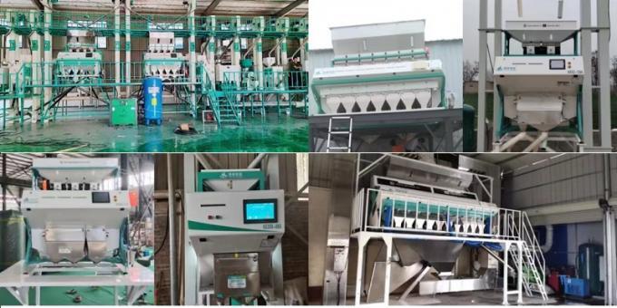 Quinoa Color Selector Cleaning Machinery Quinoa Grain Color Sorting Machine CCD Camera Color Sorter Machine