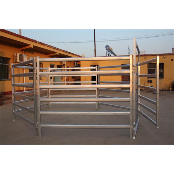 1.8m X 2.1m Oval Rail Tube Odm Heavy Duty Cattle Panel Galvanized