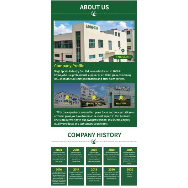 Ornamental Indoor Natural Artificial Turf 30mm Pile Height Grass Carpet Type