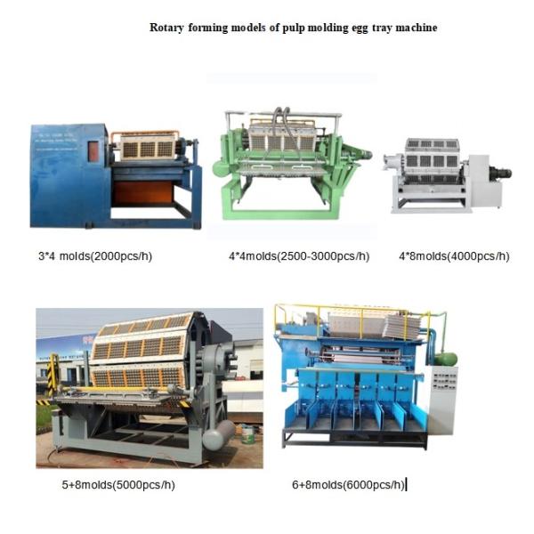 30-150kw Different Capacity Paper Egg Tray Machine With Advanced Technology