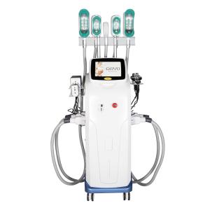 China 360 Cryolipolysis Slimming Machine Coolsculpting Weight Loss Body Contouring wholesale