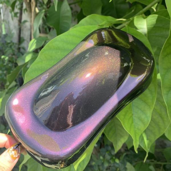 Quality Chameleon Powder Coating Pearl Pigment Change Colors Powder Paint for sale