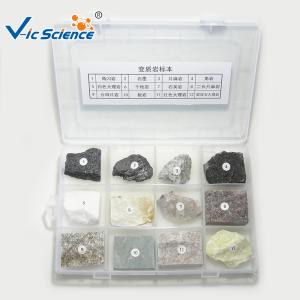China Professional Mineral And Rock Specimens Metamorphic Rock Samples wholesale