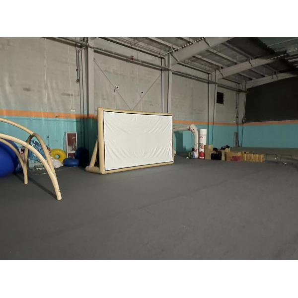 Holiday Party PVC Airtight Inflatable Movie Screen Suitable for Family or Outdoor Parties