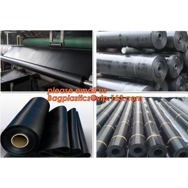 Eco-Friendly Hdpe Geomembrane Liner Geomembrane Price,Eco-Friendly Hdpe Geomembrane Liner Waterproofing Membranes BAGEAS