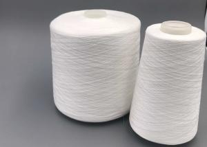 Eco Friendly Ne 30S/2 100% Spun Polyester Hand Quilting Thread