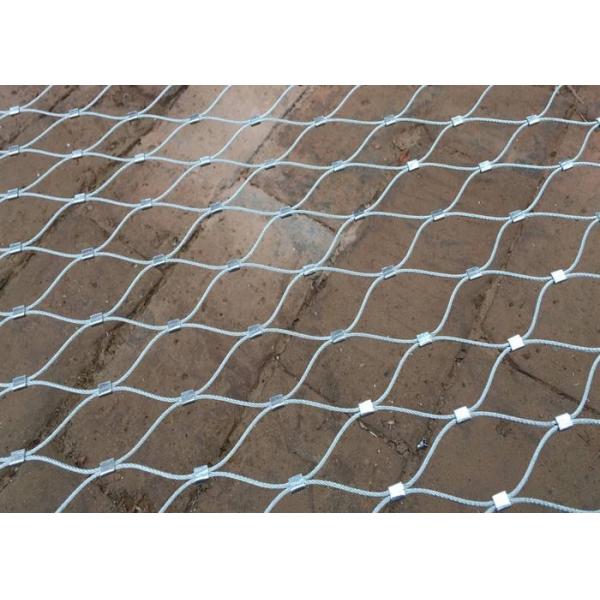 Ferrule Type Stainless Steel Bird Mesh Diamond Shape Corrosion Resistant