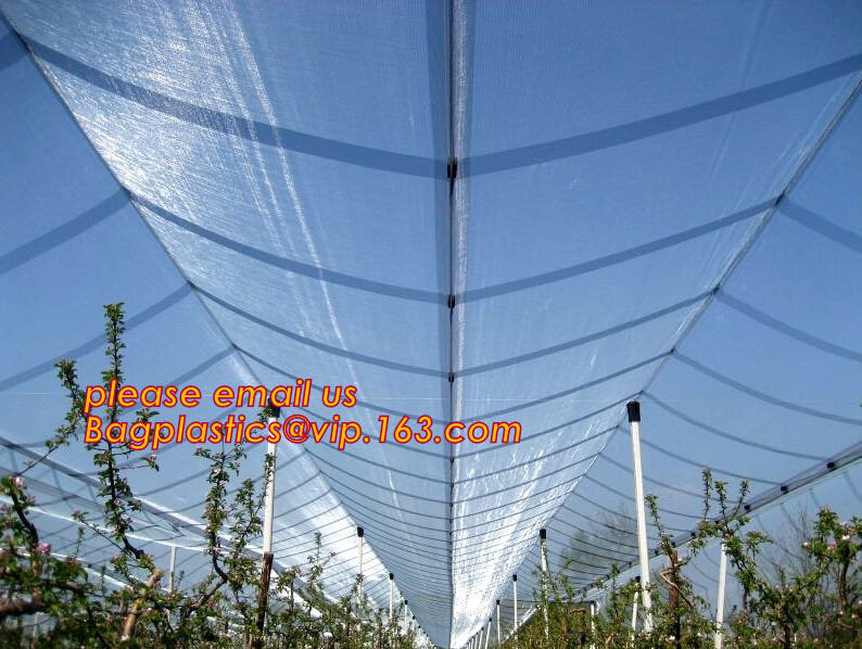 HDPE Virgin White Recycle Greenhouse Anti Insect Net,50 mesh cover greenhouse agricultural anti insect net insect nettin