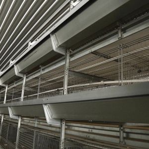 Buy cheap Commercial Poultry Shed Layer Chicken Cage OEM ODM Complete Control from wholesalers