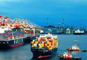 China International FBA Shipping Sea Freight Forwarders Agent To America / Canada wholesale