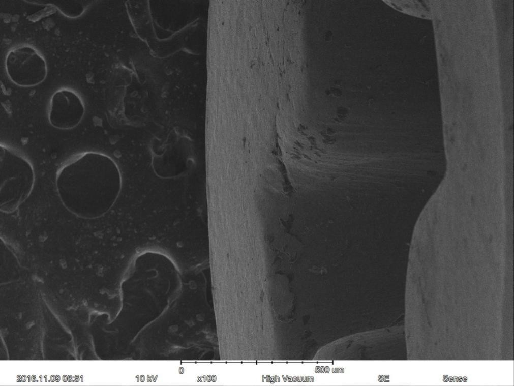 Magnification Max 60000X Scanning Electron Microscope 15nm Resolution Optional EDS