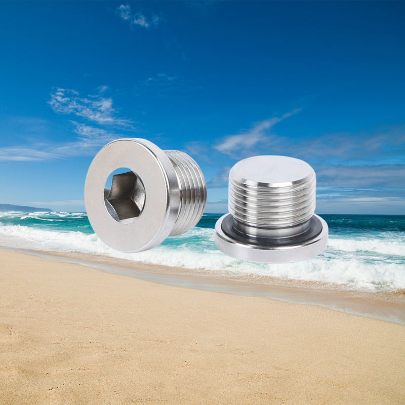 10mm Titanium Pipe Plug Stainless Steel Inox Polished Hex Socket Screws Din908 Your Go-To Product for Easy Installations