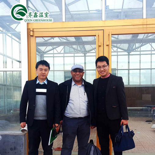 PO Single Layer Greenhouse for Agriculture Boost Agricultural Production